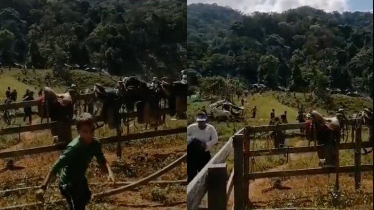La Policía Nacional continúa agrediendo a campesinas y campesinos de Anorí, Antioquia que protestan contra la erradicación forzada y por el cumplimiento de lo pactado en el punto 4 del Acuerdo de Paz.